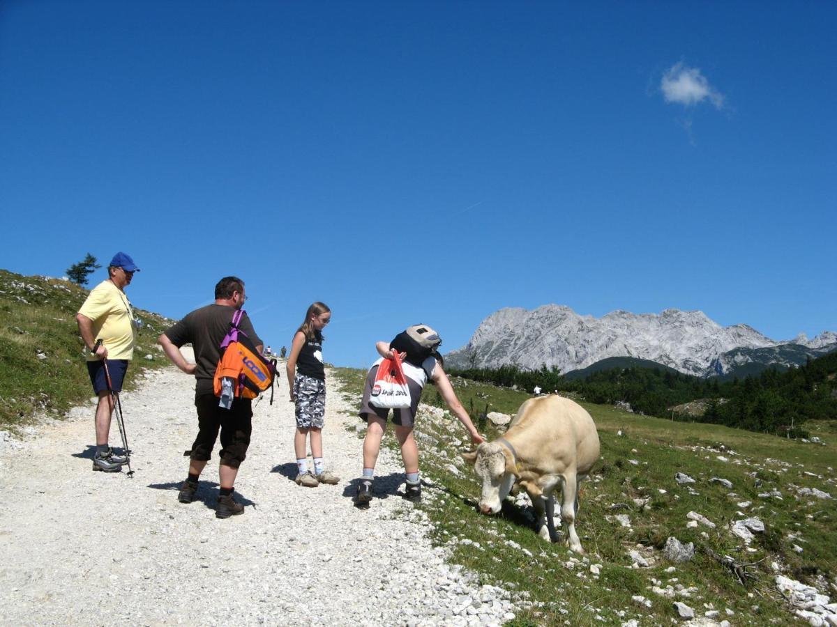 Alpine Chalet Velika Planina - Irenca - I Feel Alps Stahovica Eksteriør billede
